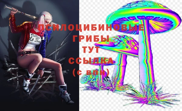 гашик Новозыбков