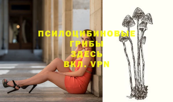 мяу мяу мука Новокубанск