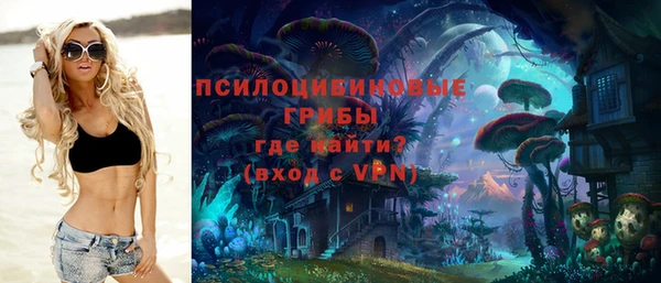 мяу мяу мука Новокубанск
