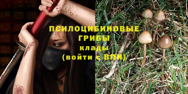 мяу мяу мука Новокубанск