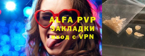 гашик Новозыбков