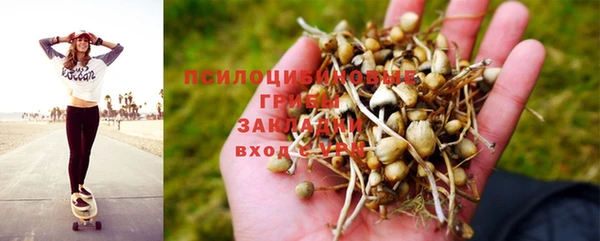 a pvp Беслан