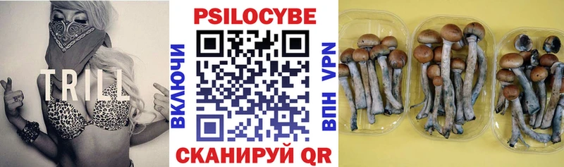 Галлюциногенные грибы Psilocybine cubensis  закладки  darknet формула  Магнитогорск 